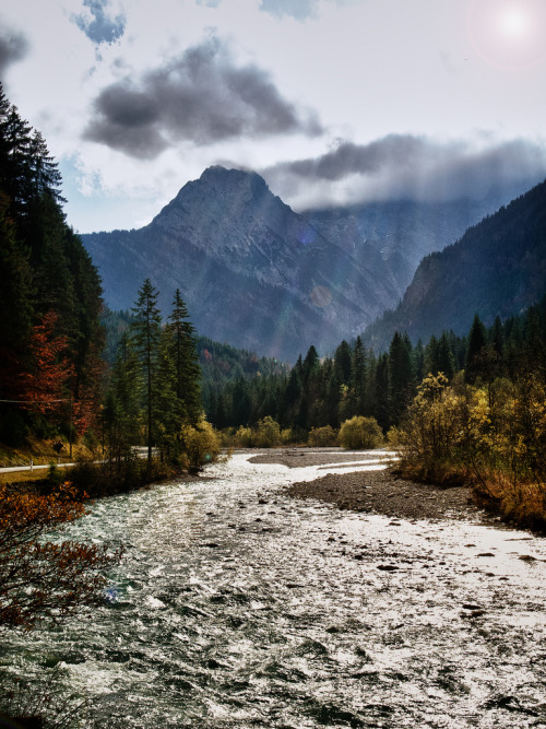owakolf:  Nature Blog ▲