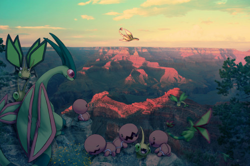 nyenuma:thecyberwolf:Wild Pokemon - Photos Conceptby Jamal Lee (Ninja-Jamal)wishingformemoria