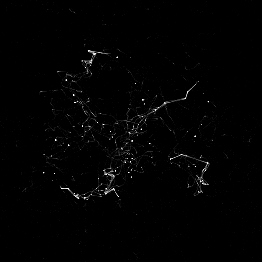 necessary-disorder: smoke constellation