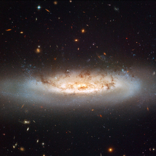 thenewenlightenmentage: Hubble views NGC 4522 Hubble’s Advanced Camera for Surveys (ACS) allow