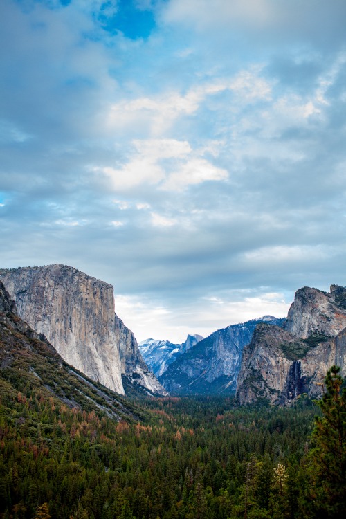 lvndscpe:  Yosemite Valley, United States | by Taylor Leopold