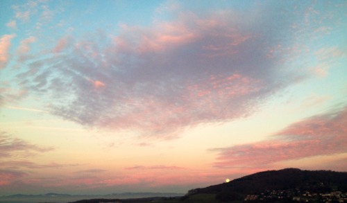 grillfriend:  it gets prettier every time i look 