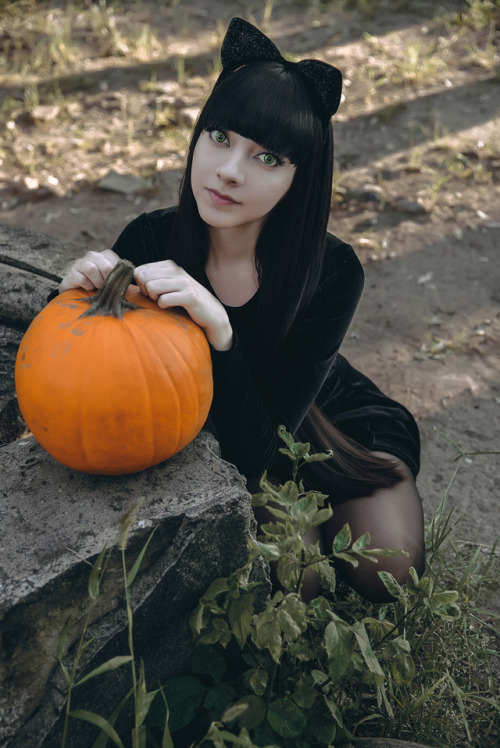  • Photography: fanored • Model: maysakaali By October, the pumpkins were very big and very orange&l