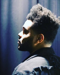 The Weeknd Every Weeknd