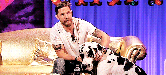 rideitslut:  Tom Hardy petting a dog on Chatty Man (ﾉ∀`*) 