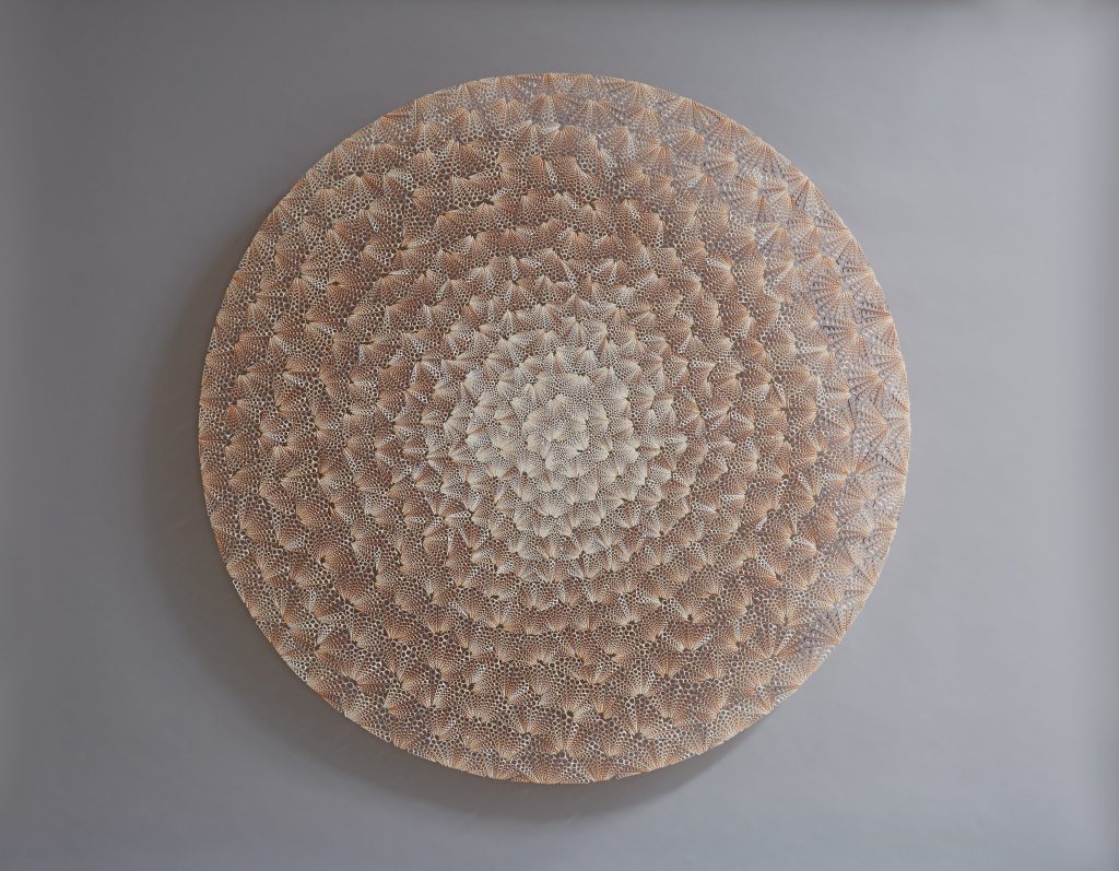 itscolossal:  New Textural Sculptures Made With Swirls of Seashells by Rowan Mersh