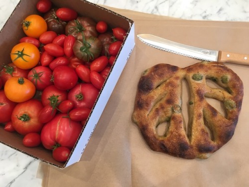 Sharing tomatoes with our friends at Goguette Bread, an amazing bakery in Santa Rosa. And they share