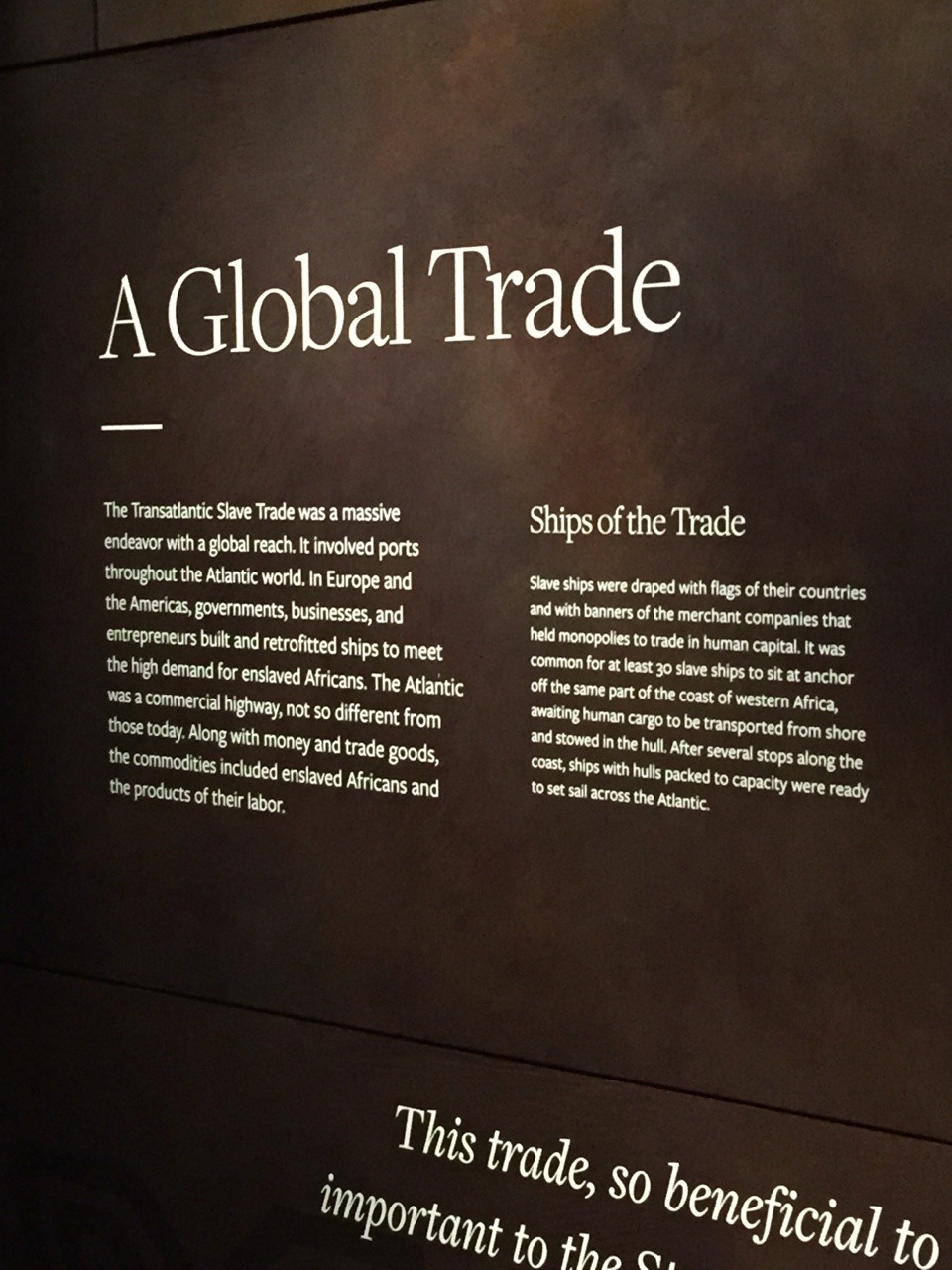 lettilove:  medicine:  one of my favorite parts of the smithsonian. never forget