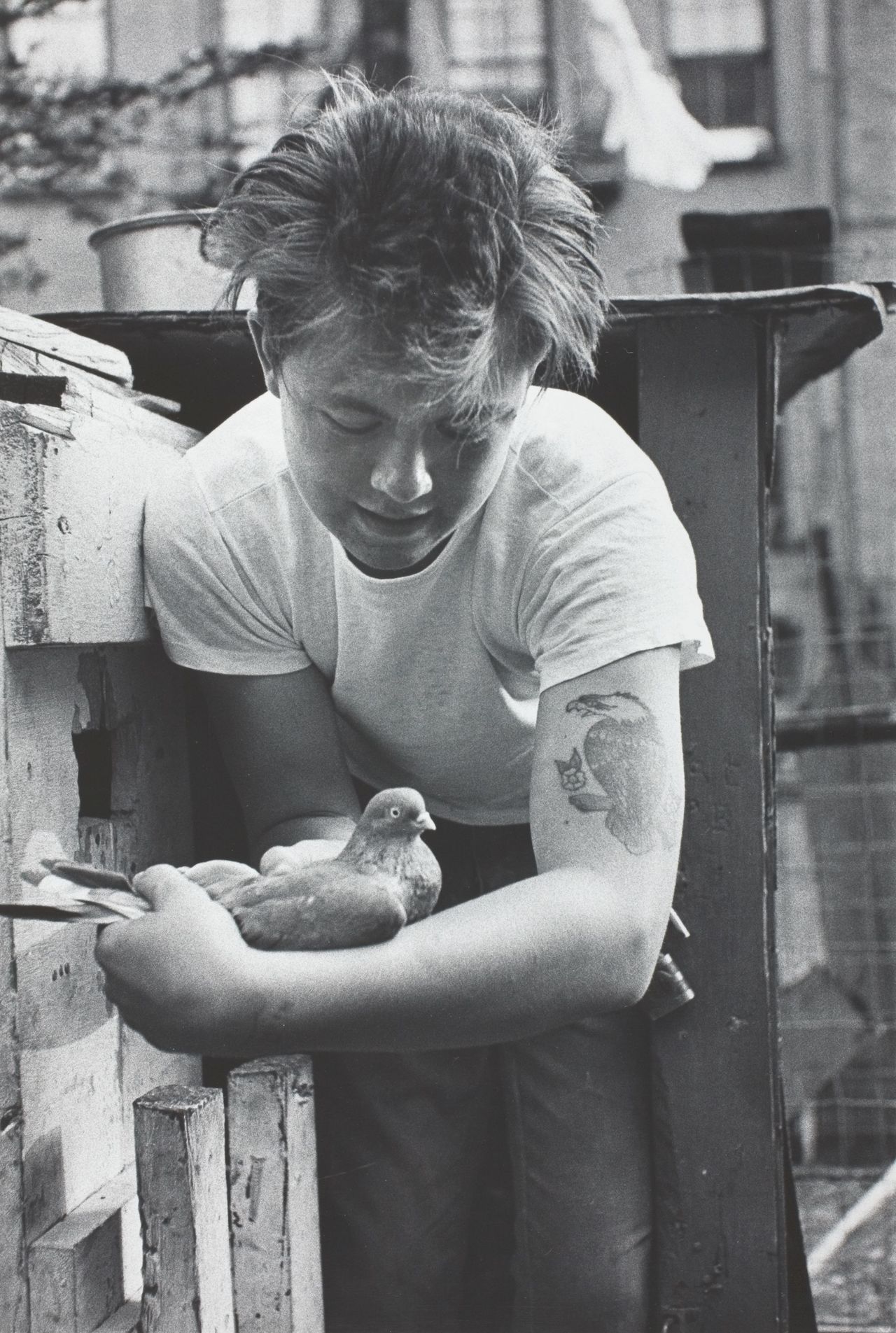 oldnewyorklandia:
“ Bruce Davidson. Boy with Pigeon (Brooklyn Gang series), 1959.
”