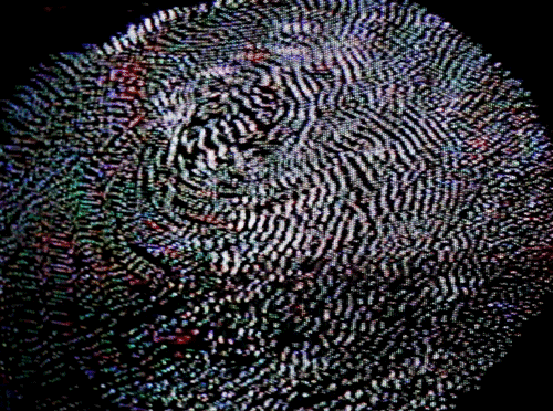 noir77:  ＦＥＥＤＢＡＣＫ　ＬＯＯＰ　ｘ　ＣＯＳＭＯＳ