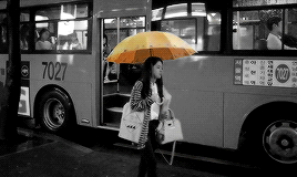 rabonghee:    “somewhere out there, there is a yellow umbrella for everyone.”  