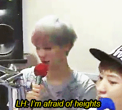 luhan’s fear of heights adult photos