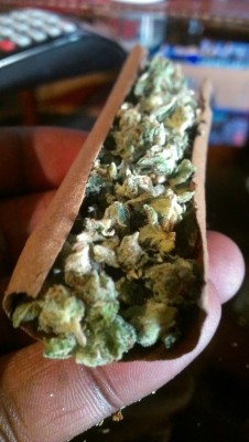 dopeduece:  Kushh blunt