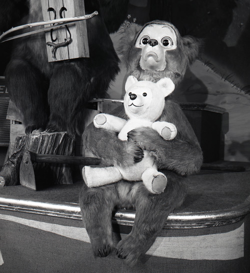 Oscar the Bear, Country Bear Jamboree