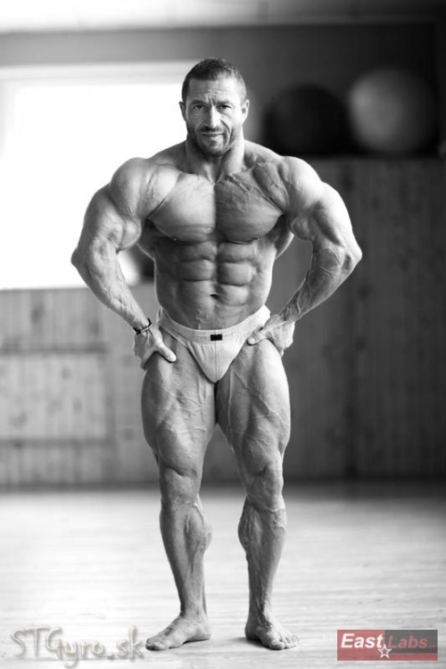 xmuscles:  Jaroslav Horvath