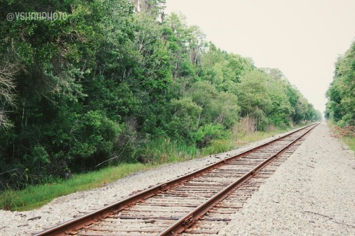Railroad tracks. Seemingly endless.