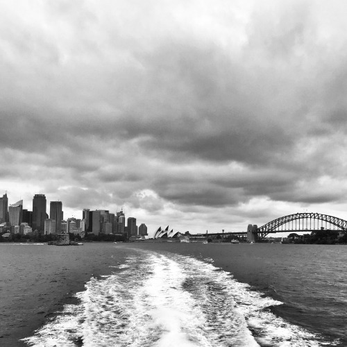 Watching the city recede into the distance.