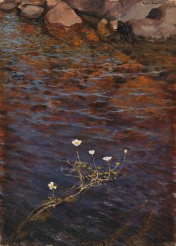 huariqueje:    Pond Water Crowfoot ; Pond Weed    -    Järnefelt, Eero ,  1895. Finnish,  1863-1937 oil on canvas,   39 x 28 cm. 