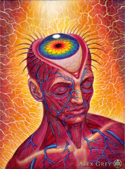 machineelves:ॐ Art by Alex Grey. Follow