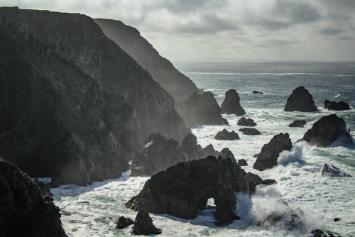 Bodega Bay | 03-24-2017