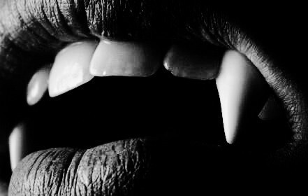 heatherristic:  Vampire on We Heart It.