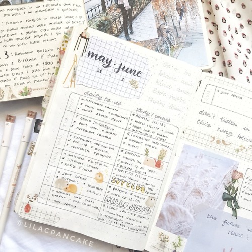 lilacpancakejournal: I have less than two weeks to study for a big exam I wanna: cry Instagram: lila