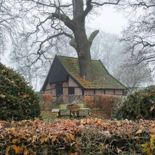 witchyautumns:** Autumn in the Netherlands **by vincentcroce instagram