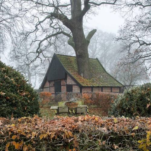 witchyautumns: ** Autumn in the Netherlands **by vincentcroce instagram