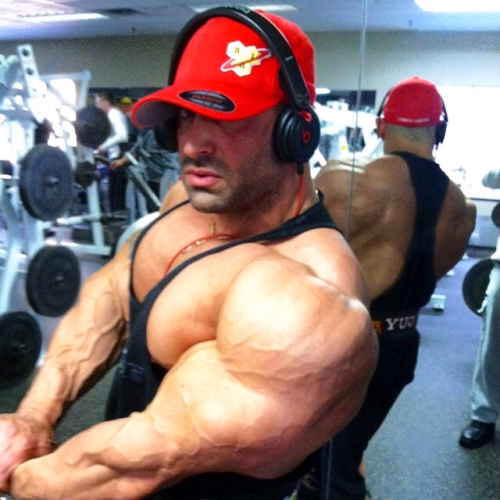drwannabe:  Guy Cisternino, swole as fuck 