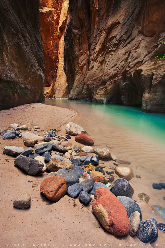 A Nature Blog