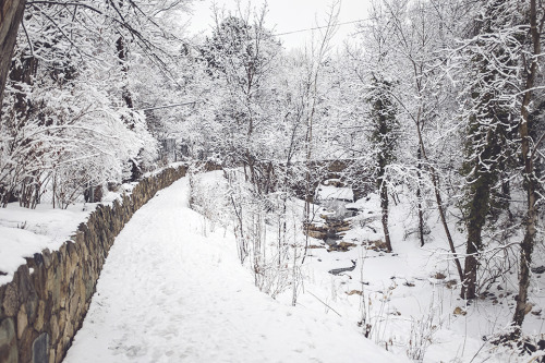 Snowy walk in Miller Park. 
