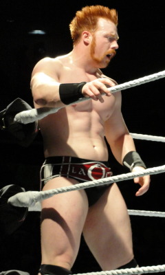 rwfan11:  Sheamus  Ugh I miss Sheamus!