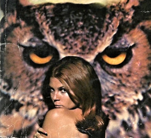 undergroundrockpress:1970 cropped cover image of Owls Don’t Blink by Erle Stanley Gardner (197