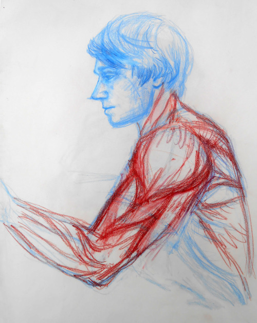 applying the muscular system to actual people45 minute study11x182015 