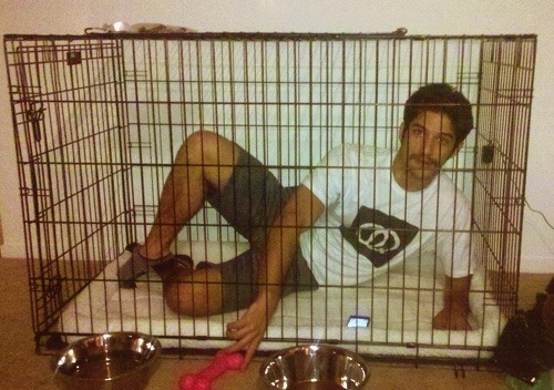 Sex actionables:  brassy:Tyler posey has a puppy pictures