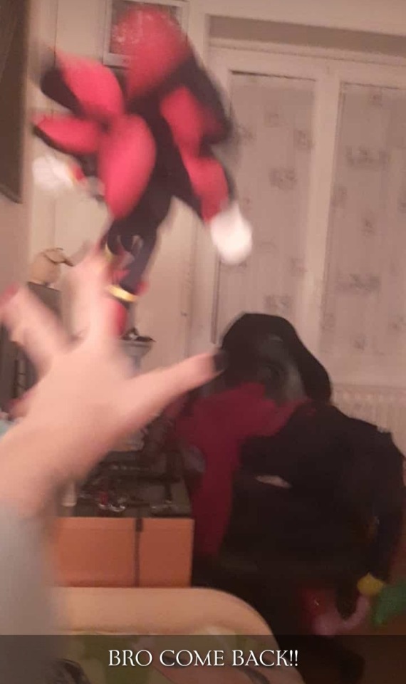 My Friends Made The Fatal Mistake Of Gifting Me A Shadow Plushie For My Birthday