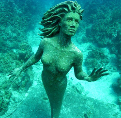 mermaids-and-anchors:  underwater mermaid statue off shore from Sunset House in Grand Cayman 