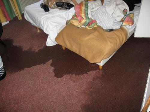 “Flooded room”Traveller photo submitted by Kelsey1988 (Jan. 2008)