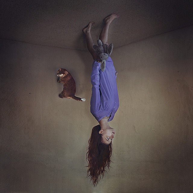 to travel south by brookeshaden 