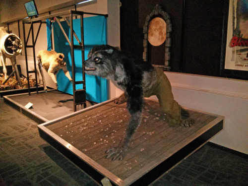 I took these photos a while ago when I visited the Telus World of Science Edmonton. #WerewolfWednesd