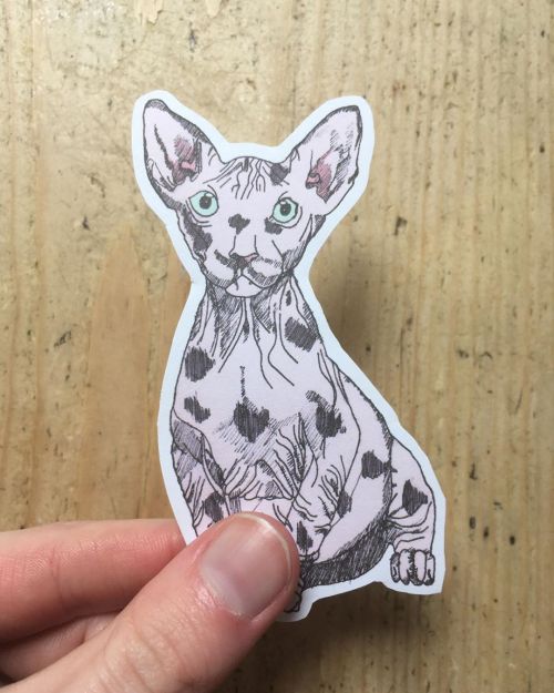 Sphynx cat sticker now available on my Etsy. Link in bio. #sphnyx #spynxcat #cat #cats #sticker #ill