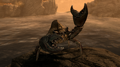 aestheticwillotree:uesp: uesp: Pictured: A friendly Mudcrab leaves the water’s edge to wave at