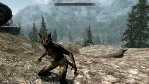 terradragon:I made a skyrim character named Puma Concolor and play them as just a literal mountain l