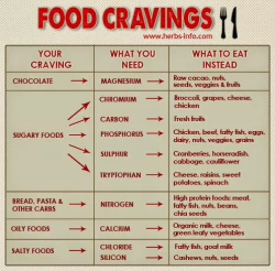 4fitnesssake:The cause of your food cravings