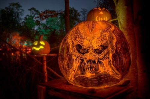 devilduck:  These awesome jack-o’-lanterns were made by a marvelous crew of carvers from Passion for Pumpkins at Roger Williams Park Zoo in Providence, Rhode Island. That’s where the acclaimed Jack-O-Lantern Spectacular takes place. From October 3rd