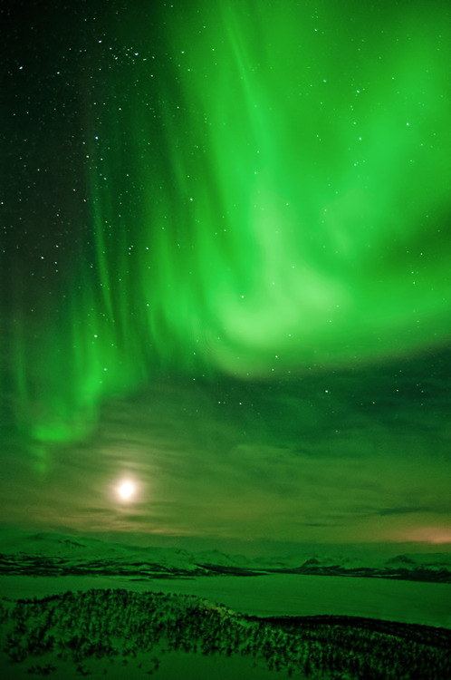 safesexgay:  0mnis-e:  Northern Sky, By Rauno Kalda.  SAFE SEX GAY … AND OTHERS COOL THINGS … 