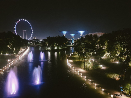 [ 花園國的迷想 ]我遊新加坡其中一個最大的目的就是到濱海灣花園，從構思圖、到落實興建、到開幕、到網上報導我都有一一留意，不得不提就是我一直只有想和望，從來沒有出行的念頭，外遊就是回鄕拜山或公司公幹。