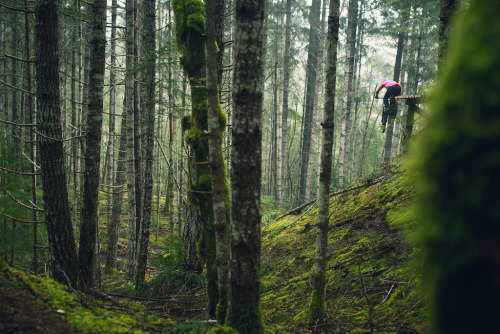 horsthimself: Darren Berrecloth rockin the Builder Trail @ Qualicum Beach, British Columbia, Canada 