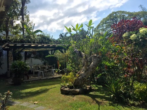 welttraum:  Garden Idyll