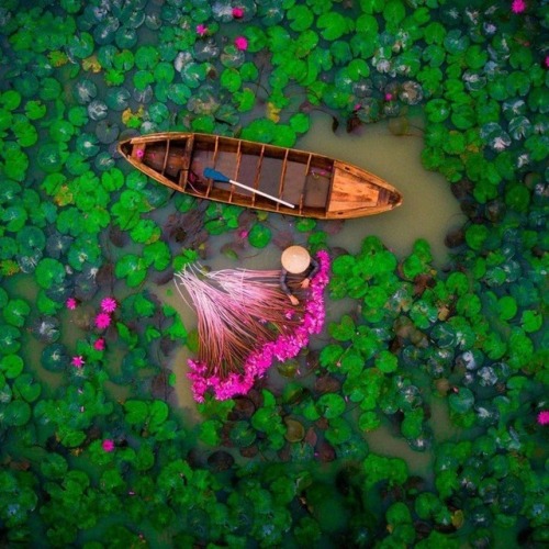 A Lake in VietnamFOLLOW: the honeySPOTVisit: Twitter | Facebook
